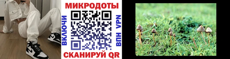 Купить закладки  Краснозаводск  Псилоцибиновые грибы Cubensis 